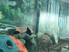 -五龙山野生动物王国