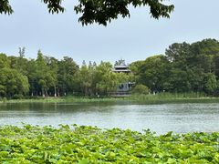 -金鸡湖桃花岛