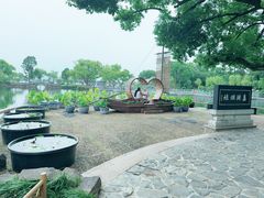 -无锡蠡湖国家湿地公园-蠡园
