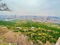 -千佛山风景名胜区