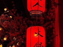 -桃花沅火锅(长嘉汇江景店)