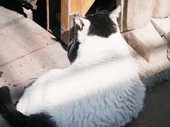 -旧天堂书店(华侨城创意文化园南山特色文化街区店)