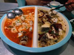 -姚姚酸菜鱼·金戈戈香港豉油鸡(喜荟城联名店)