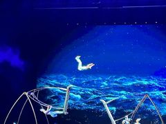 -水秀国际大剧院