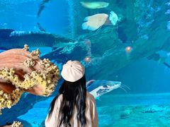 -华夏文旅海洋公园