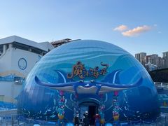 -海合安青岛极地海洋公园
