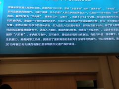 -丰登陕西水盆牛羊肉·泡馍