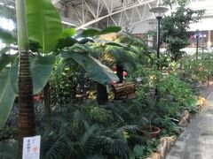-大顶子山温泉旅游区
