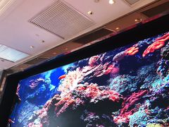 -金苑海鲜酒家(来魅力店)