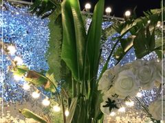 -天空花园餐吧·生日·团建(南山店)