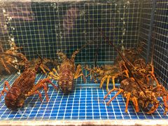 水产区-骏莱海鲜鱼港(五角场店)