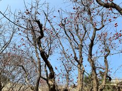 -九如山休闲旅游度假区
