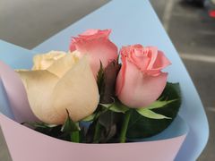 -武汉花鸟市场
