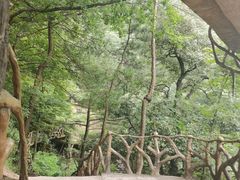 -罗田天堂寨风景区
