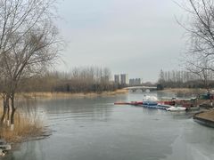 -大兴滨河森林公园