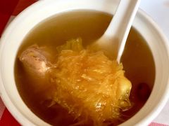 鲜川贝老树橙炖猪腱汤-龙桥私厨·姜花菊花过桥鱼·顺德菜(容桂店)