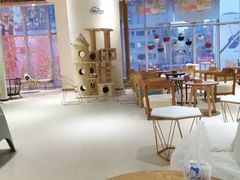 -藏猫猫咖啡主题馆(中央大道店)