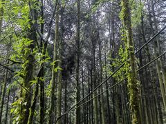 -山王坪喀斯特国家生态公园