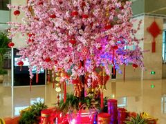 -北京广电国际酒店