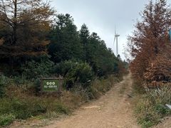-东白山