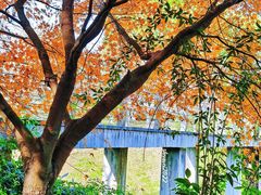 -白马涧龙池景区