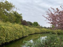 -成都南湖公园