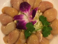 -老码头火锅(玉林店)