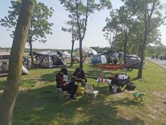 -春花秋色城市公园