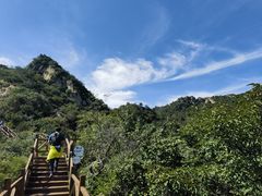 -大岭沟猕猴桃谷风景区