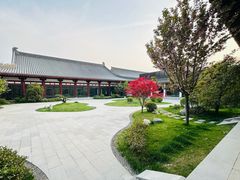 -唐御宴•御宴宫•唐代菜点(芙蓉西路店)