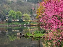-重庆彩云湖湿地公园