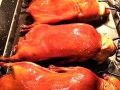 -青岛富力艾美酒店