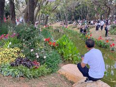 -人民公园(罗湖区)