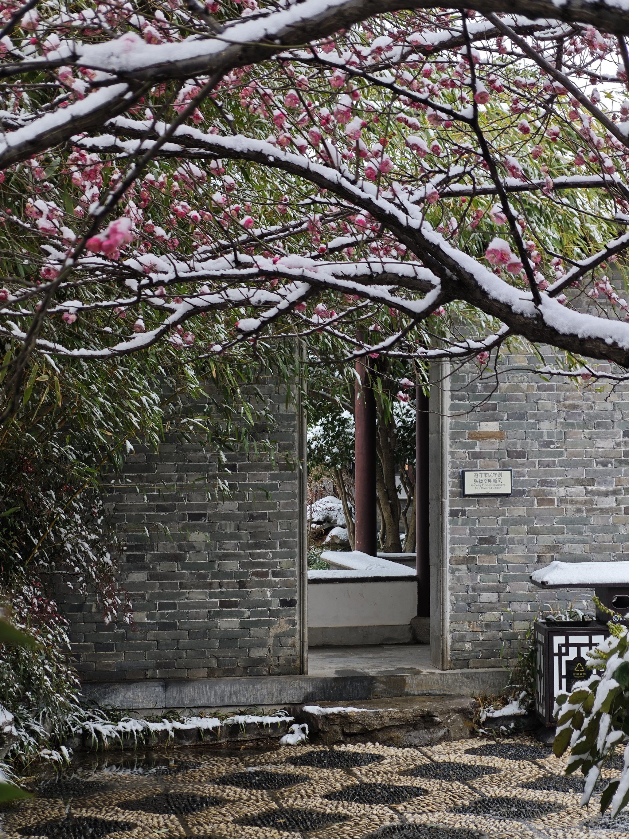 0元玩转这座城 99来泰州的第一站,本来打算先去梅园的,但顺着老街