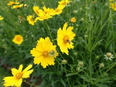 -湖南工业大学(主校区（河西校区）)