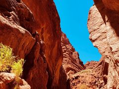 -天山神秘大峡谷