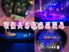 -广州长隆国际大马戏
