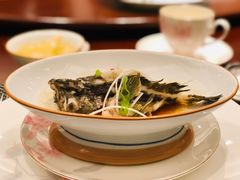 -聚春园自助餐厅(东街口店)