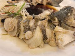 -博雅渔港·融合菜(维也纳国际大酒店)
