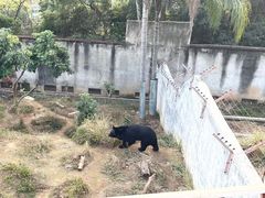 -福州动物园