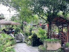 -青城甲(青城山店)