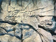 -正佳自然科学博物馆