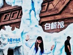 -秦皇岛乐岛海洋王国