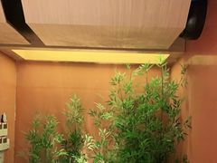 -初蓉丨遇见新川菜(亲贤街荣耀店)