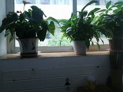 -贵州沾水米线(学田湾店)