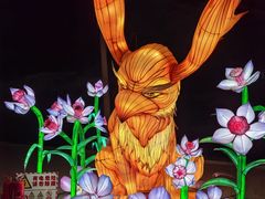 -南山公园