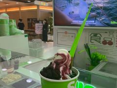 -Salud撒露欧洲冻酸奶(五道口购物中心店)