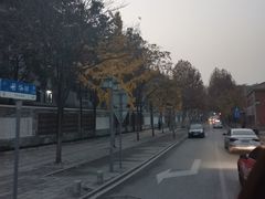 -湖北省美术院美术馆