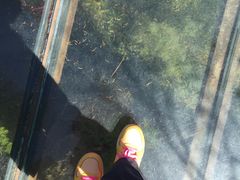 -峡谷浮石林景区