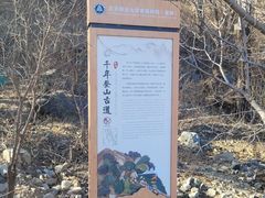 -北京鹫峰国家森林公园